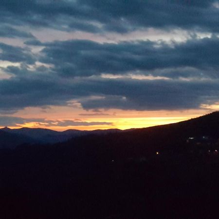 Chalet Por Do Sol Castro Daire Exteriör bild